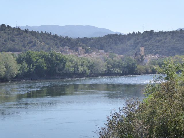 Finca rústica en venta - Xerta