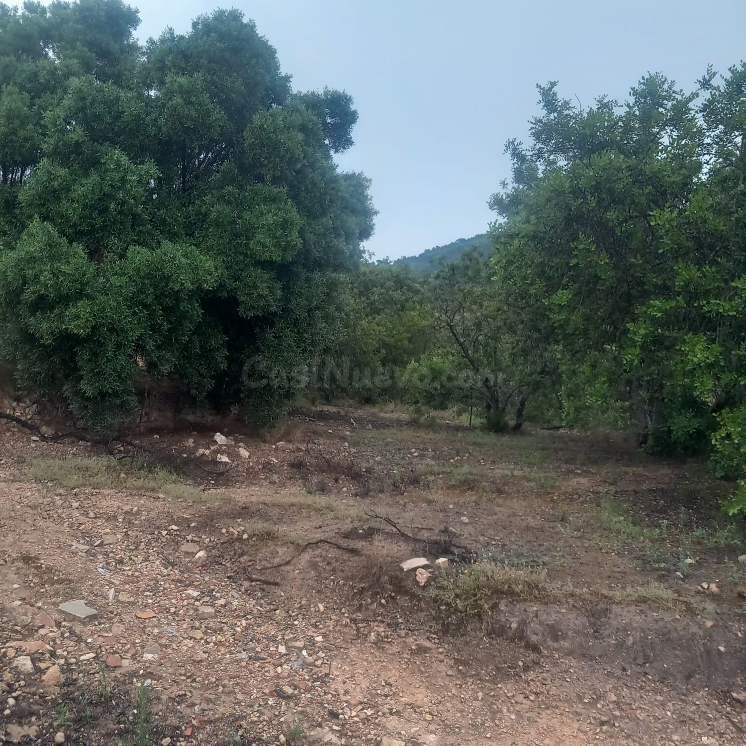 Finca rústica 26m² en venta - Tivenys - foto 4