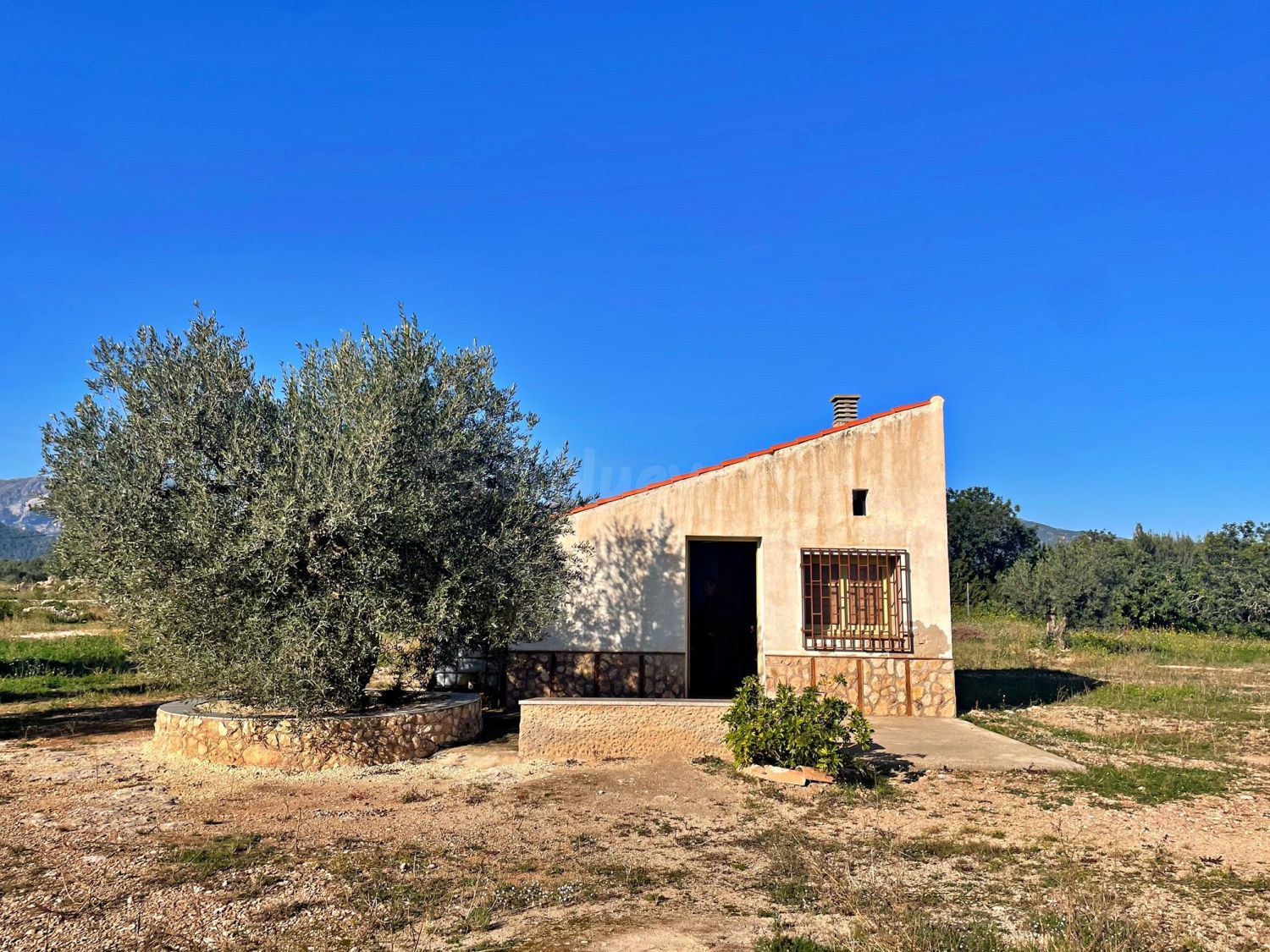 Terreno rural 1 habitación 30m² en venta - Aldover - foto 3