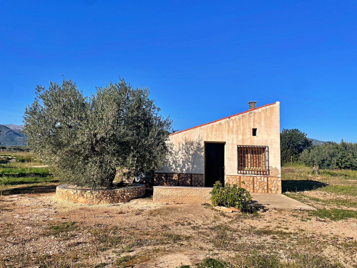 Terreno rural 1 habitación 30m² en venta - Aldover - foto 4