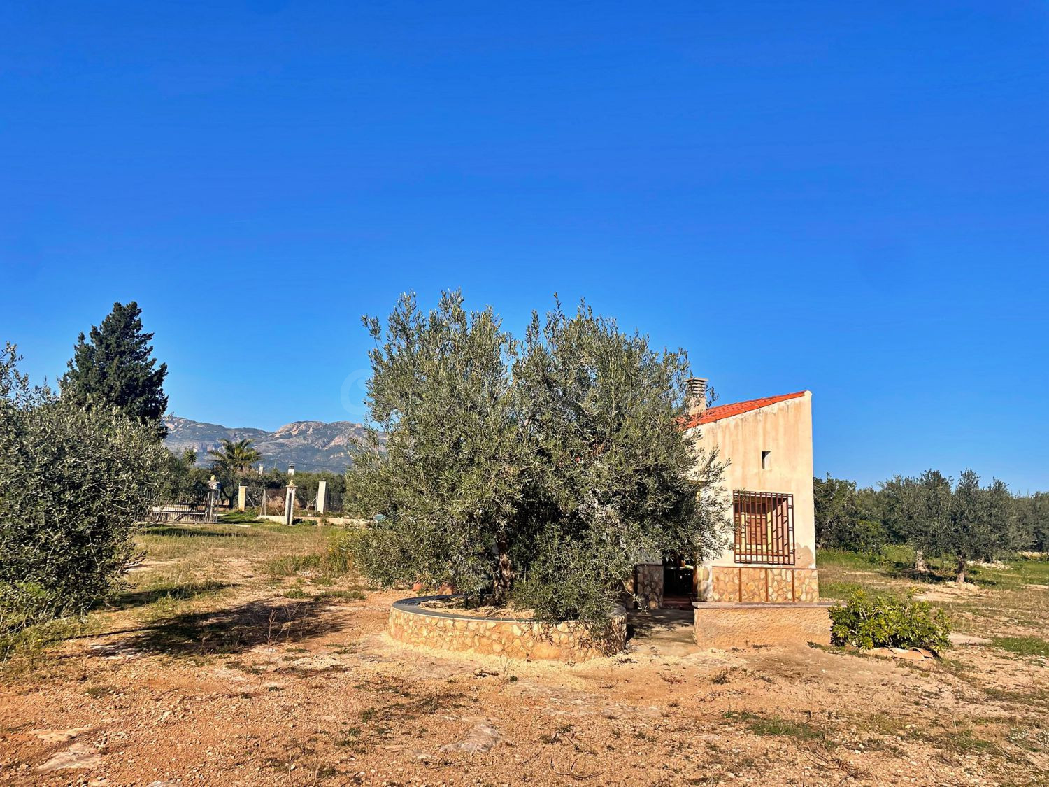Terreno rural 1 habitación 30m² en venta - Aldover - foto 5