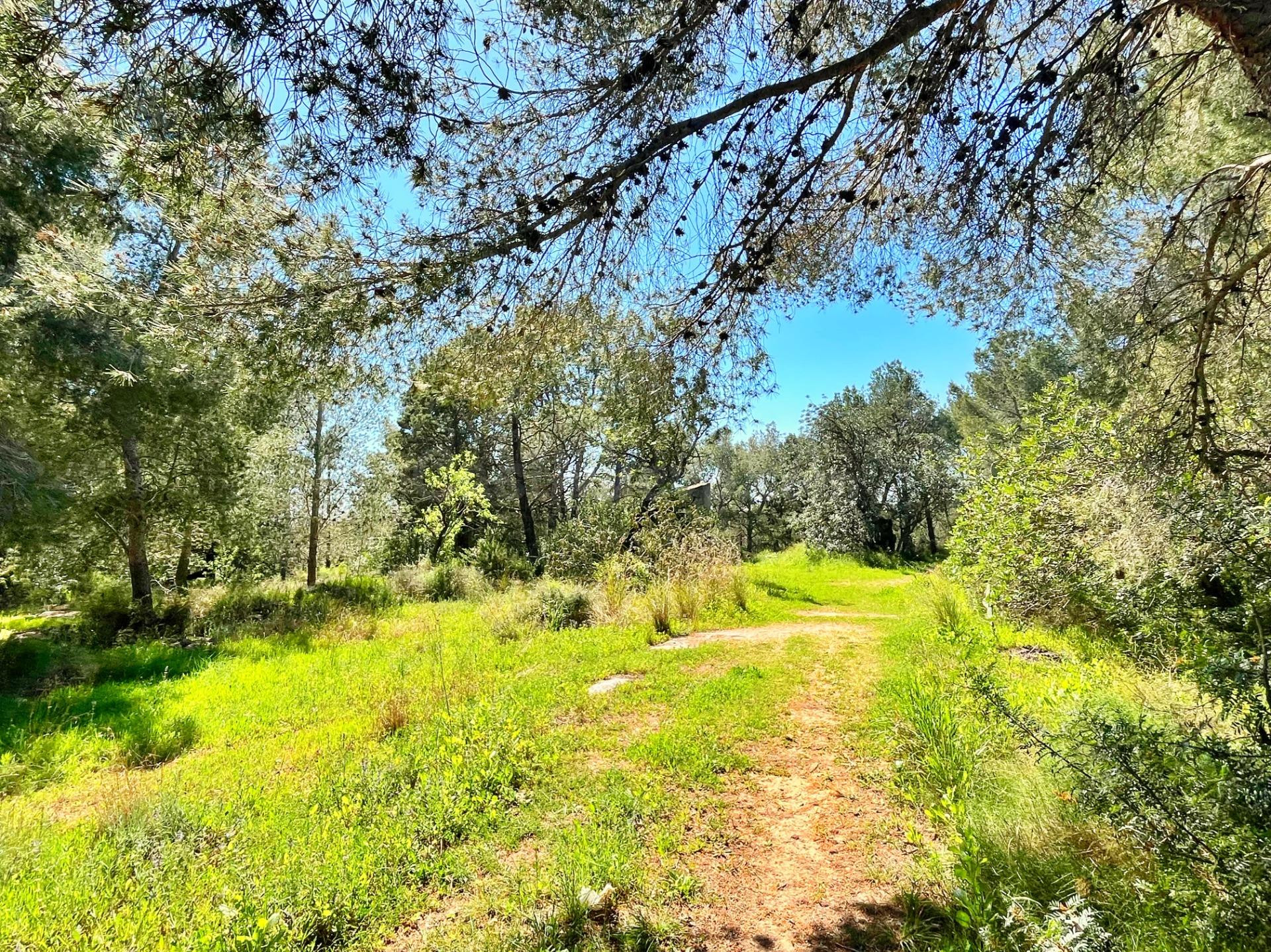 Finca Rustica - foto 2