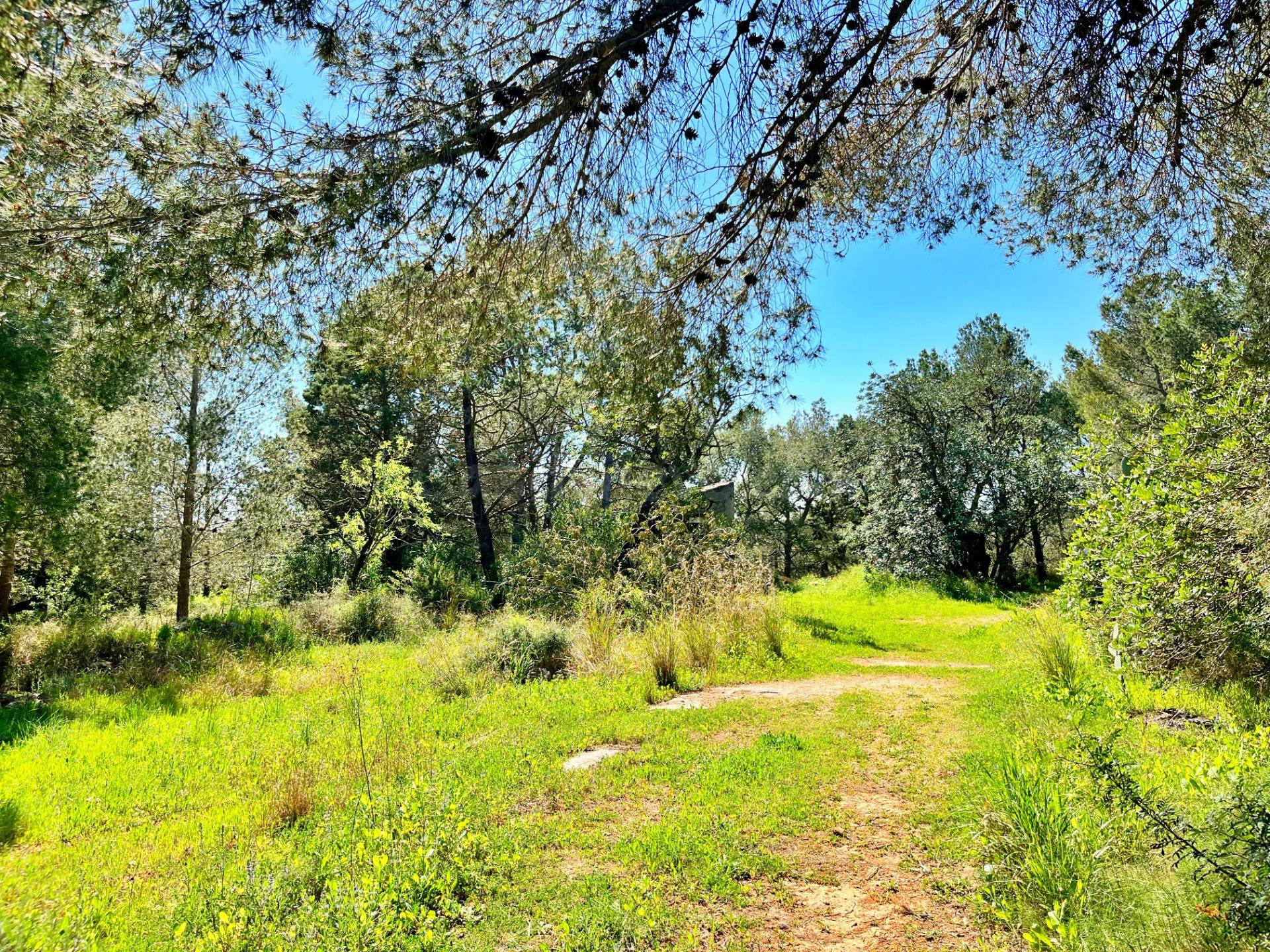 Finca Rustica - foto 3