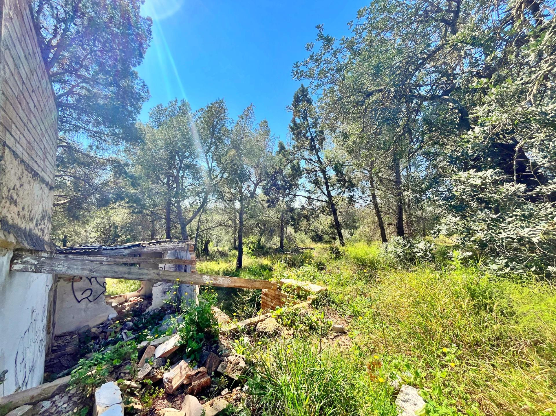 Finca Rustica - foto 5