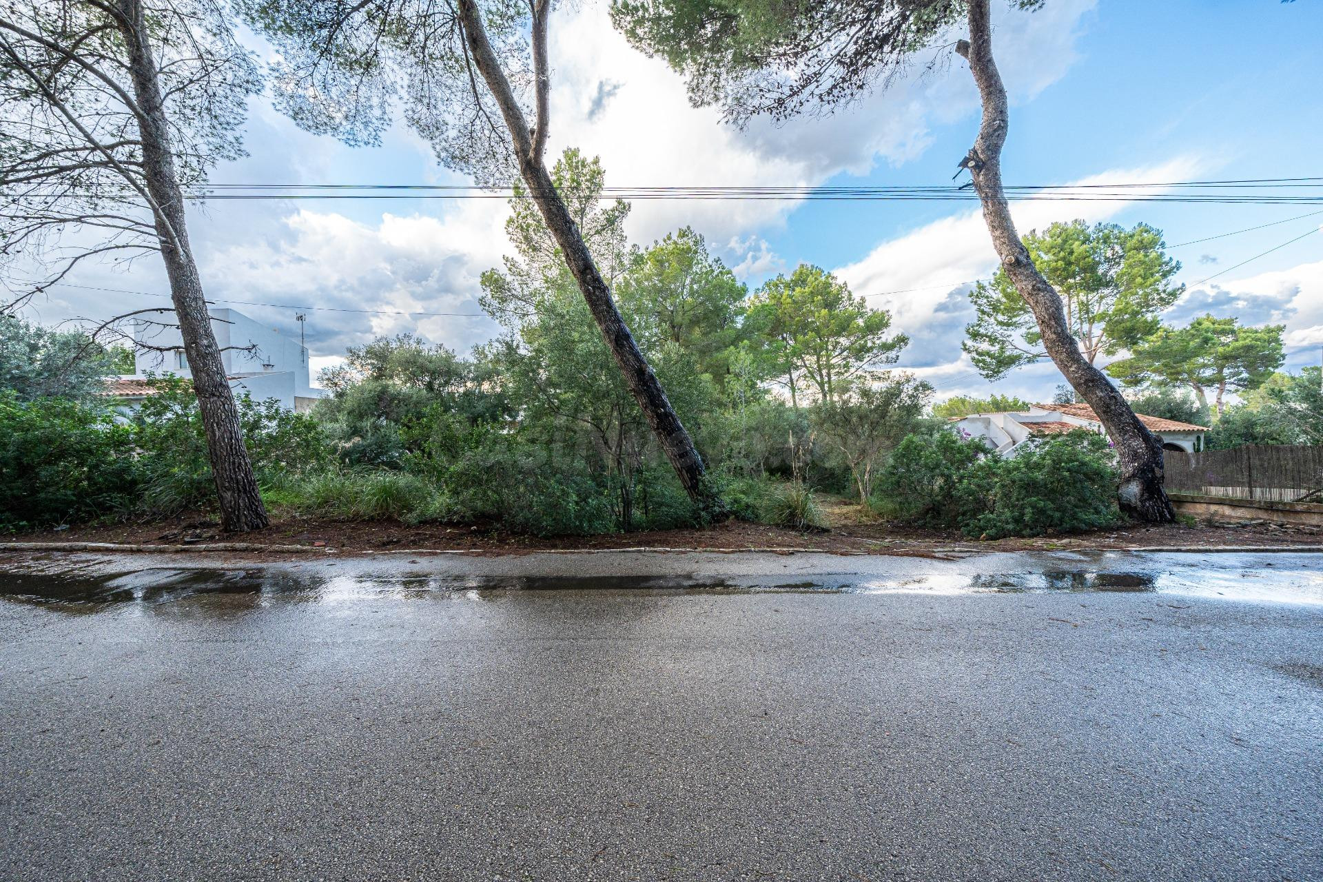 Solar en Betlem con Entorno de Interés y Oportunidad de Cons - foto 3
