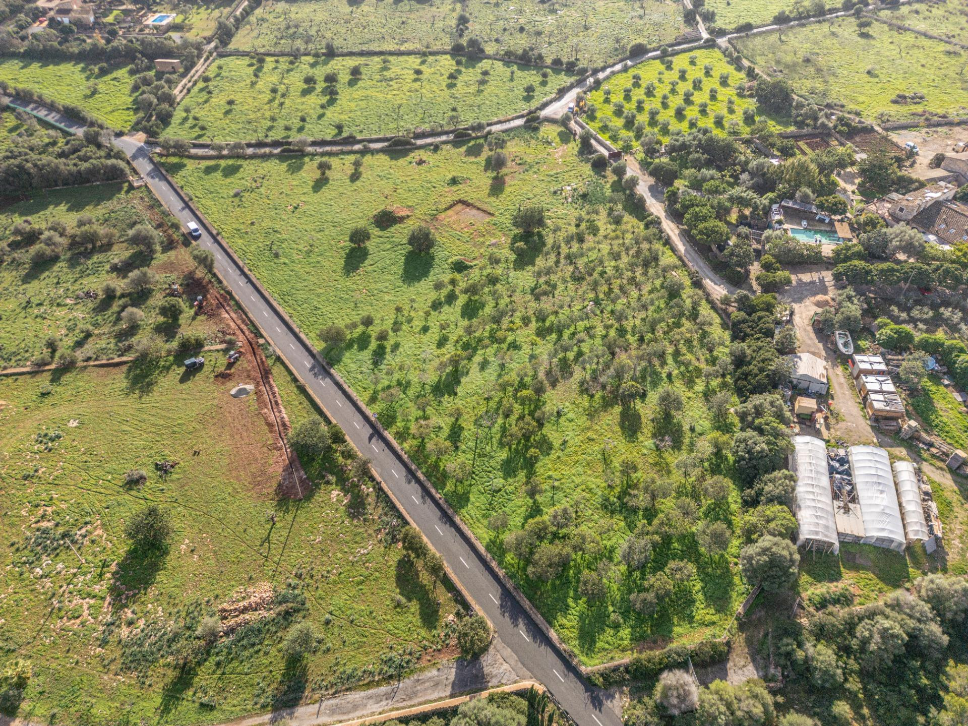 Terreno en Son Carrio con proyecto y permiso de obra - foto 2
