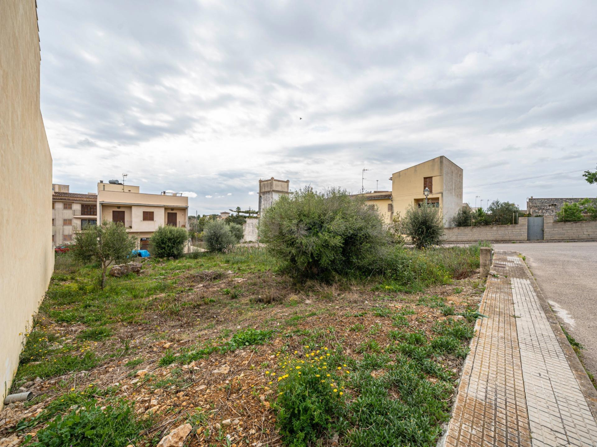 Terreno urbanizable en San Lorenzo - foto 5