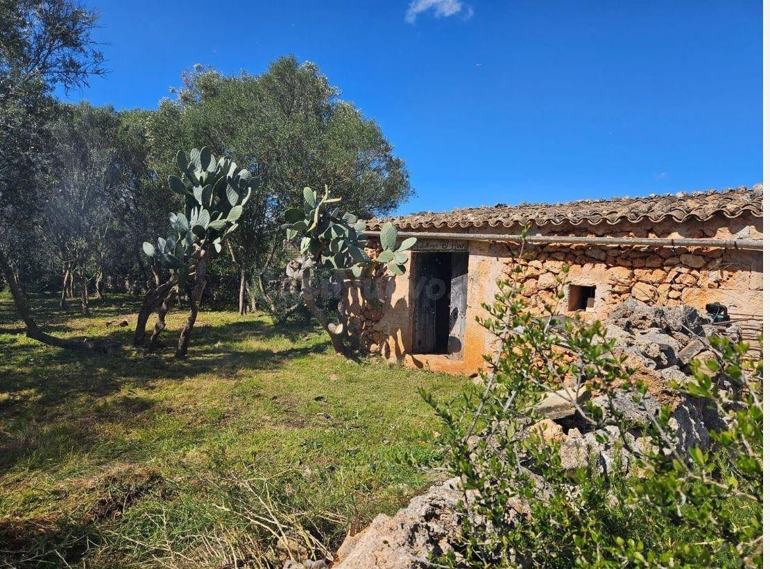 Finca rústica de 14.878 m2 en Costitx con posibilidad de proyecto de vivienda unifamiliar