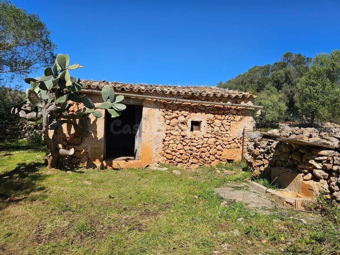 Finca rústica de 14.878 m2 en Costitx con posibilidad de proyecto de vivienda unifamiliar - foto 3