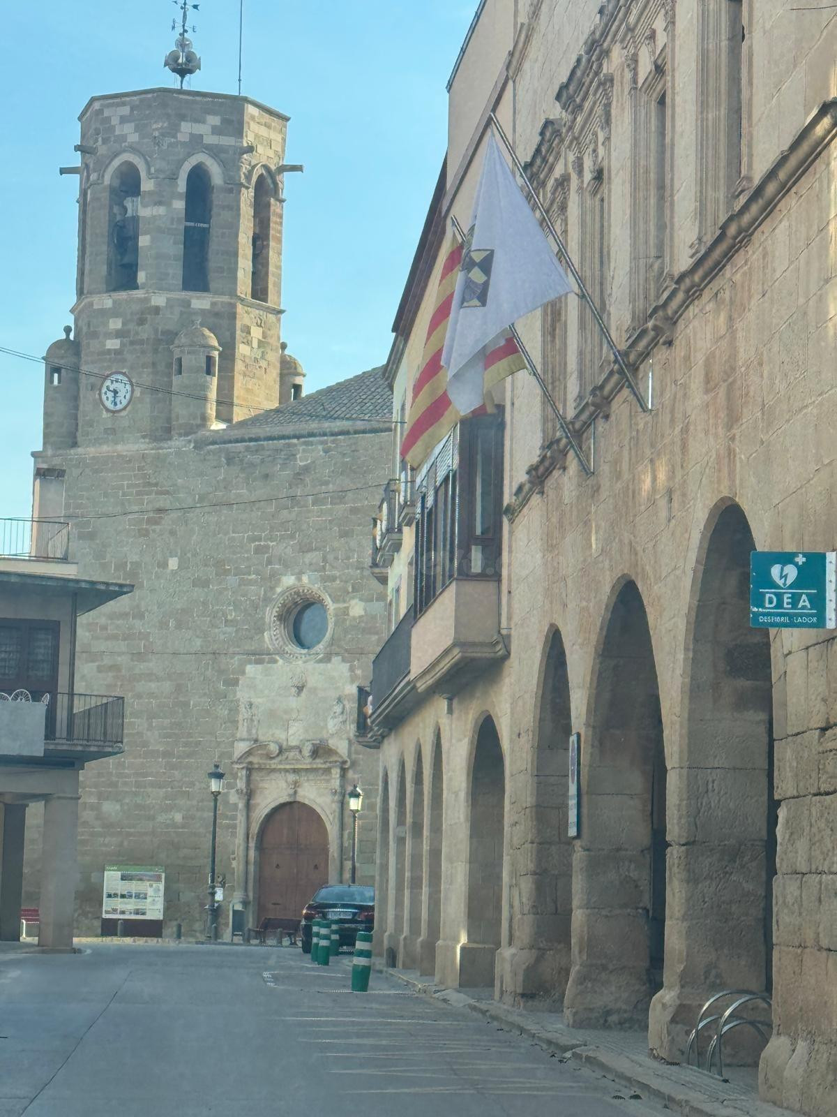 TERRENY URBÀ EN LINYOLA - foto 5