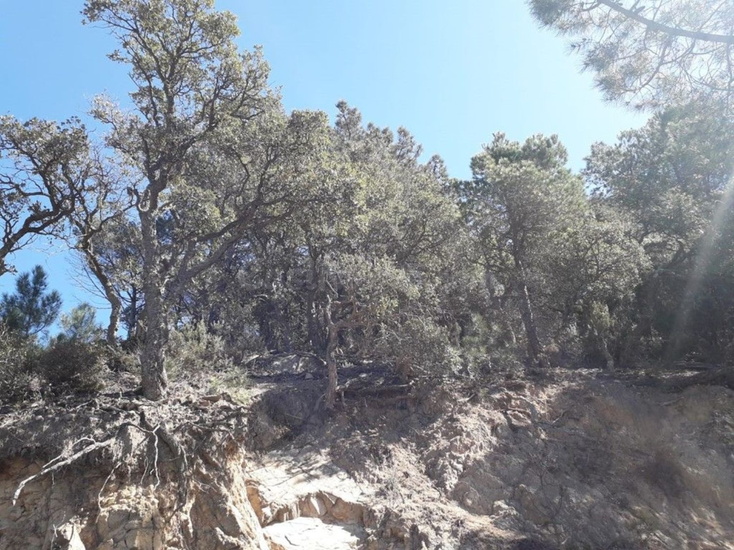 Terreno urbanizable 250m² en venta - Serra Brava - foto 3