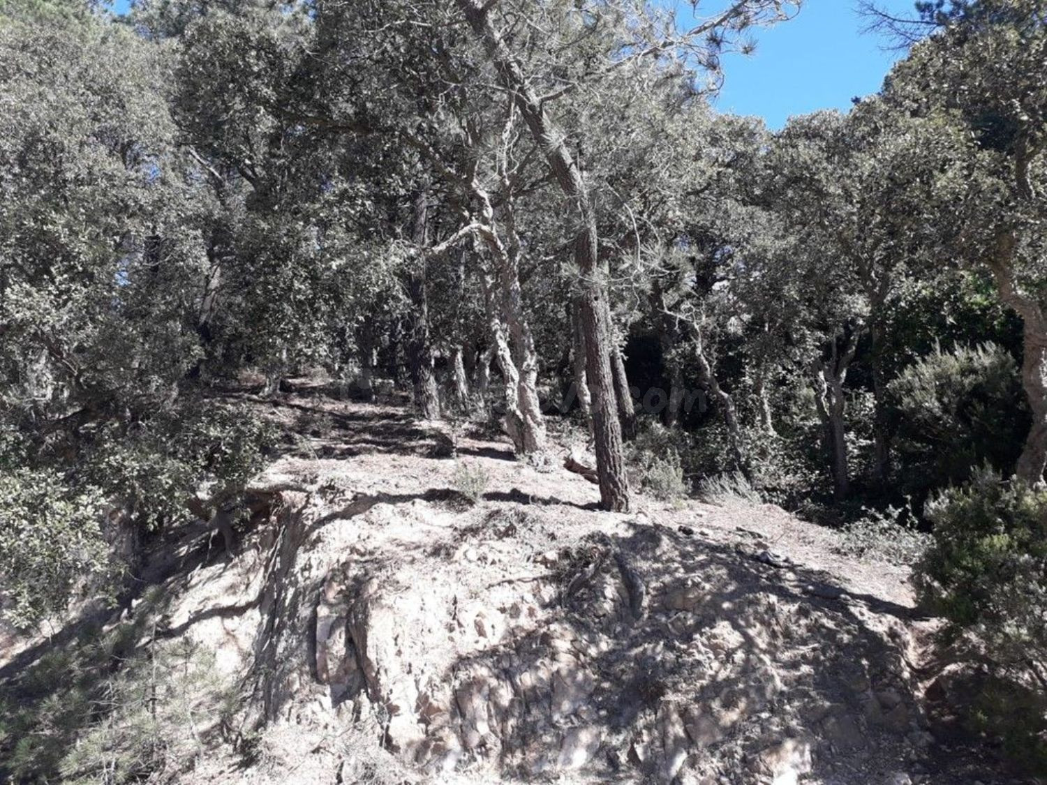 Terreno urbanizable 250m² en venta - Serra Brava - foto 5