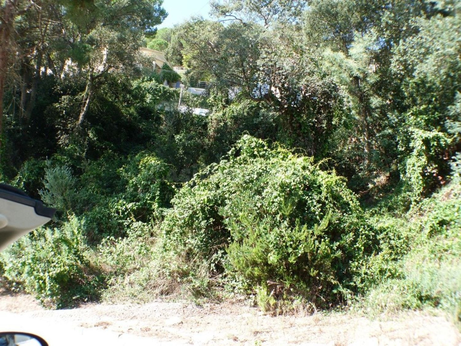 Terreno urbanizable 250m² en venta - Serra Brava - foto 2