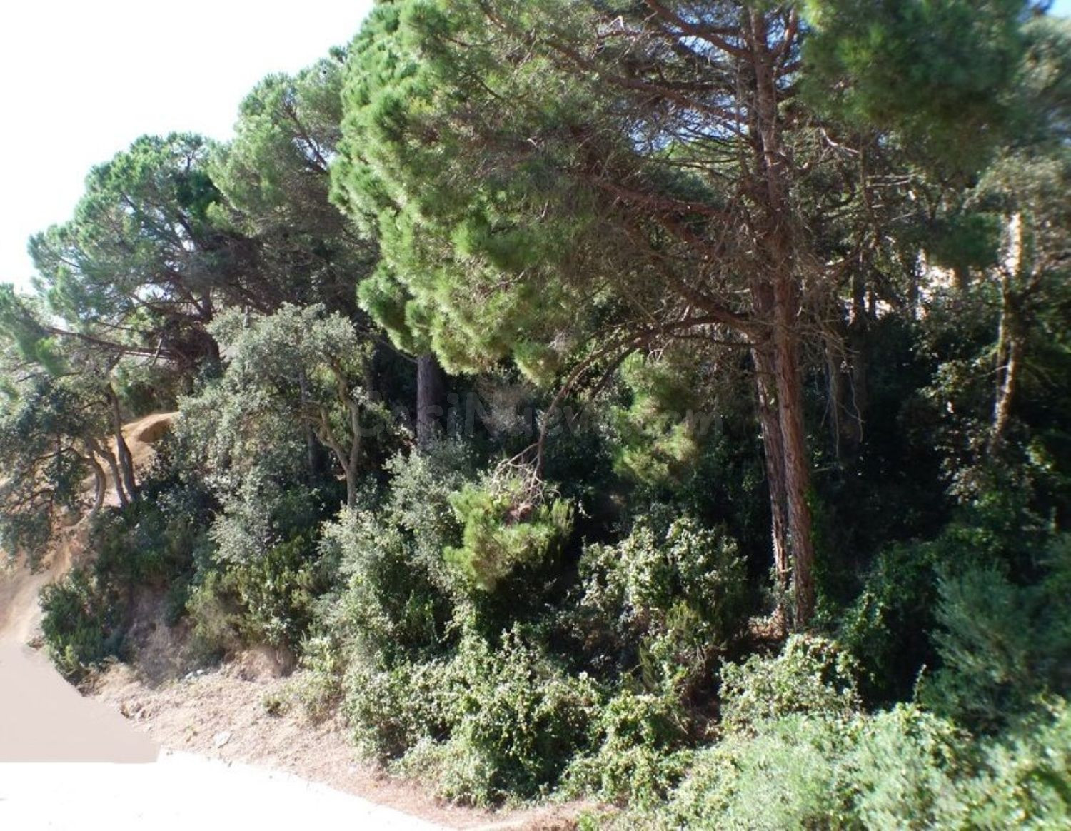 Terreno urbanizable 250m² en venta - Serra Brava - foto 3