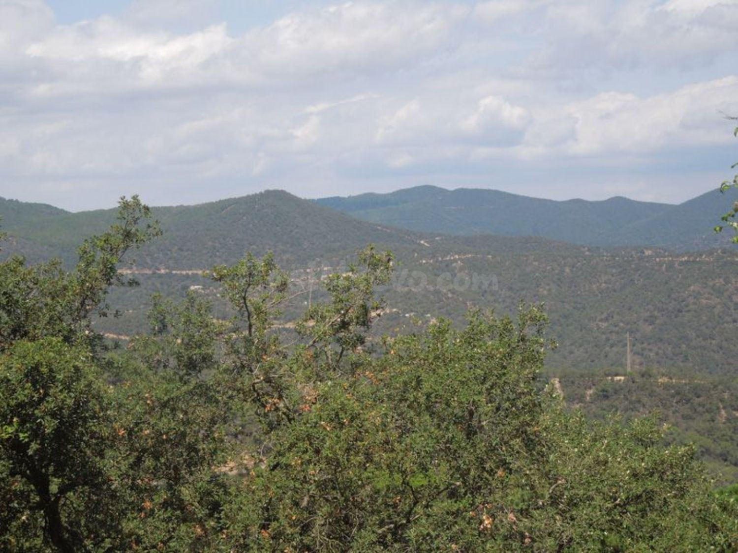 Terreno urbanizable 800m² en venta - Serra Brava - foto 5
