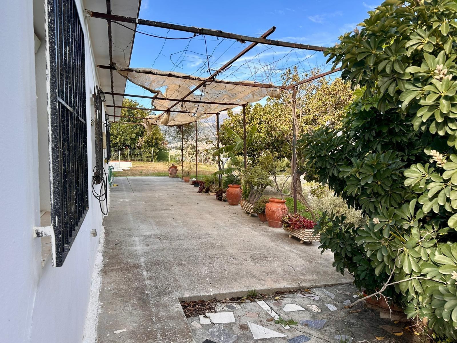 Tu oasis de libertad en Torre del Mar: Privacidad absoluta a - foto 4