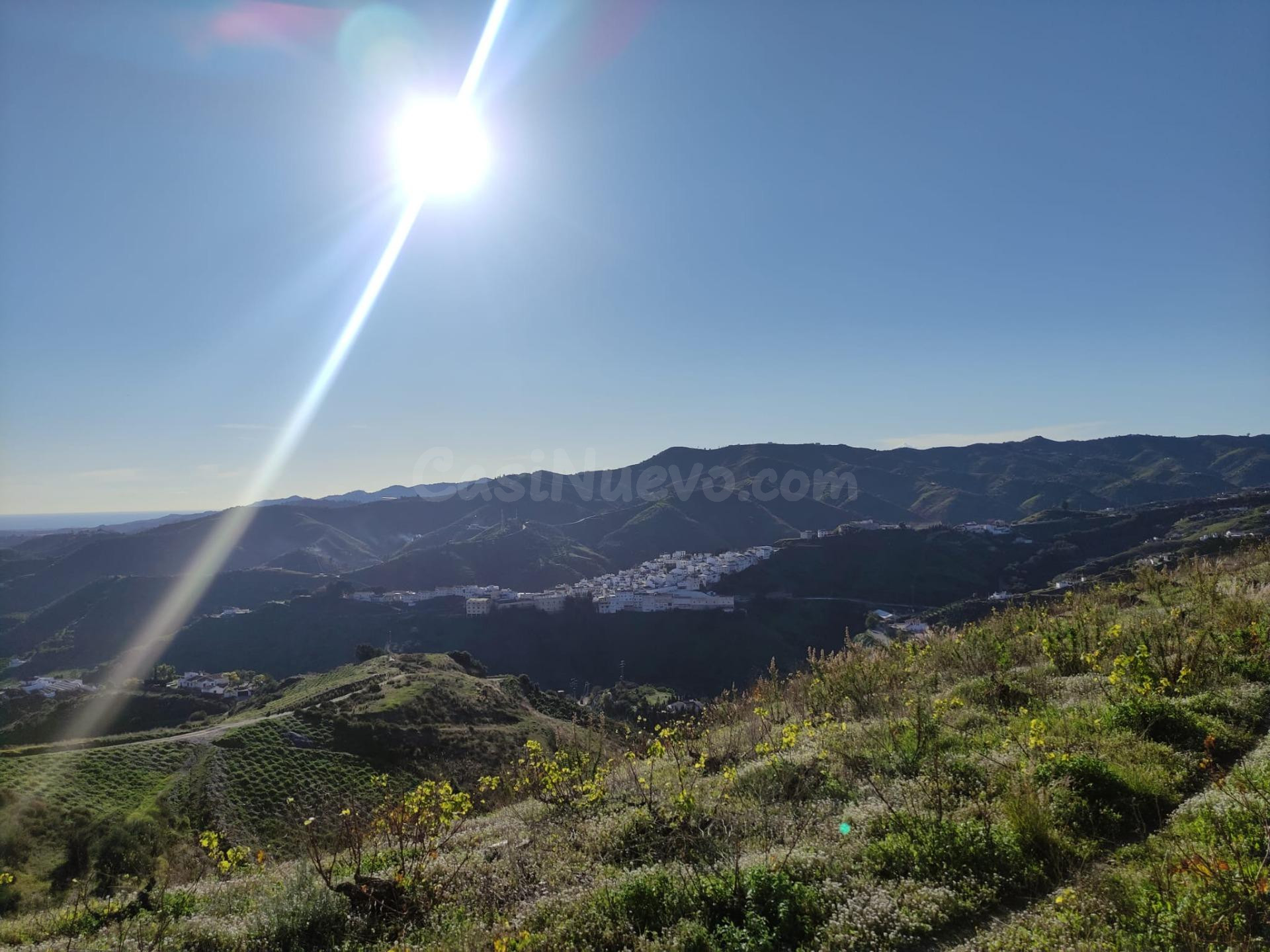 UNICA FINCA DE 7500M2 CON 1000 ÁRBOLES DE MANGOS Y AMPLIA VI - foto 2