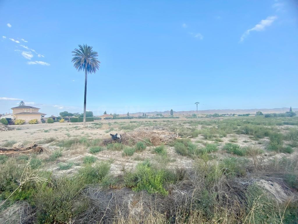 Parcela muy próxima a Lorca ideal para construcción de vivienda unifamiliar en Cazalla