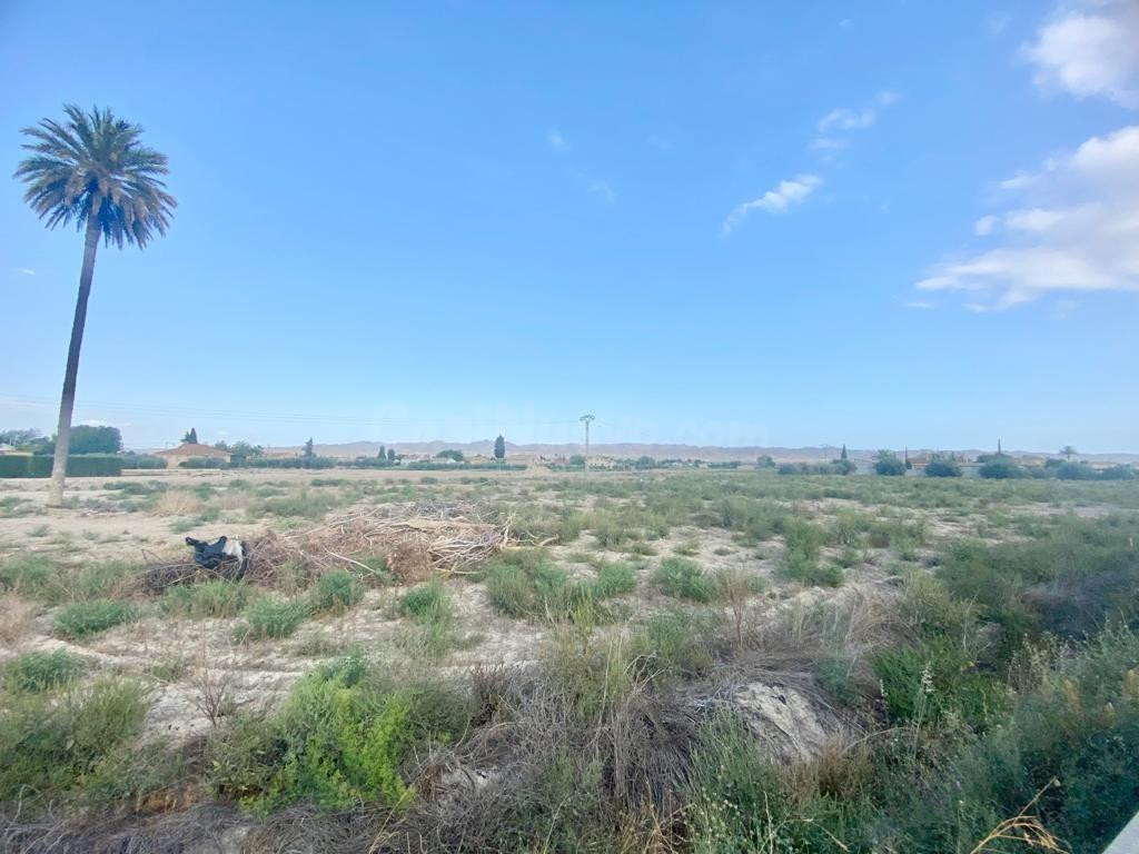 Parcela muy próxima a Lorca ideal para construcción de vivie - foto 2