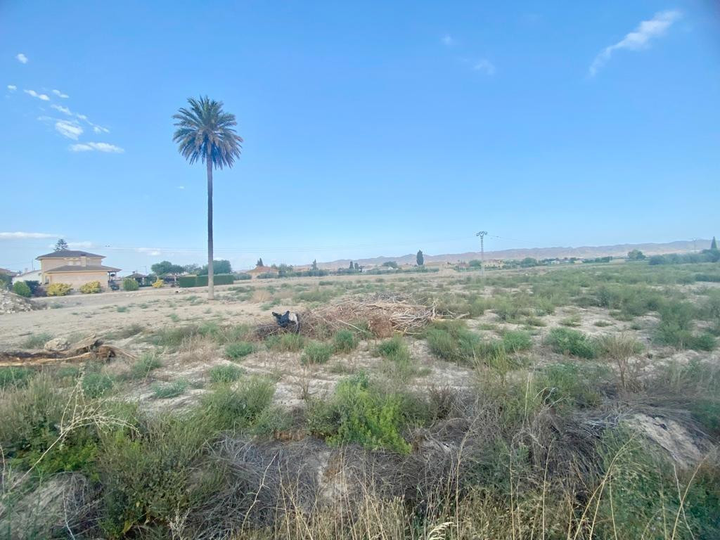 Parcela muy próxima a Lorca ideal para construcción de vivie - foto 3