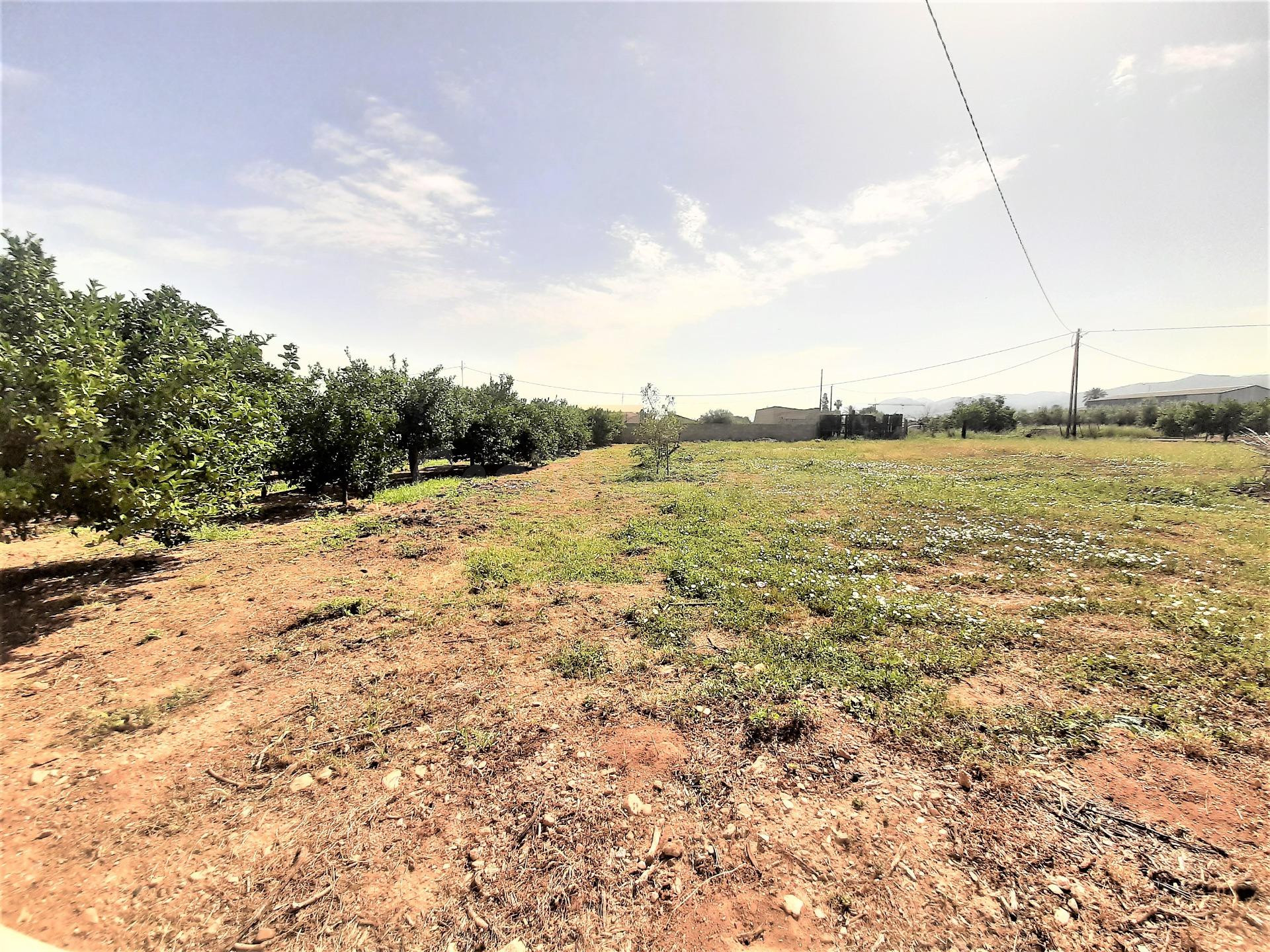 Parcela en Purias para construcción de vivienda unifamiliar