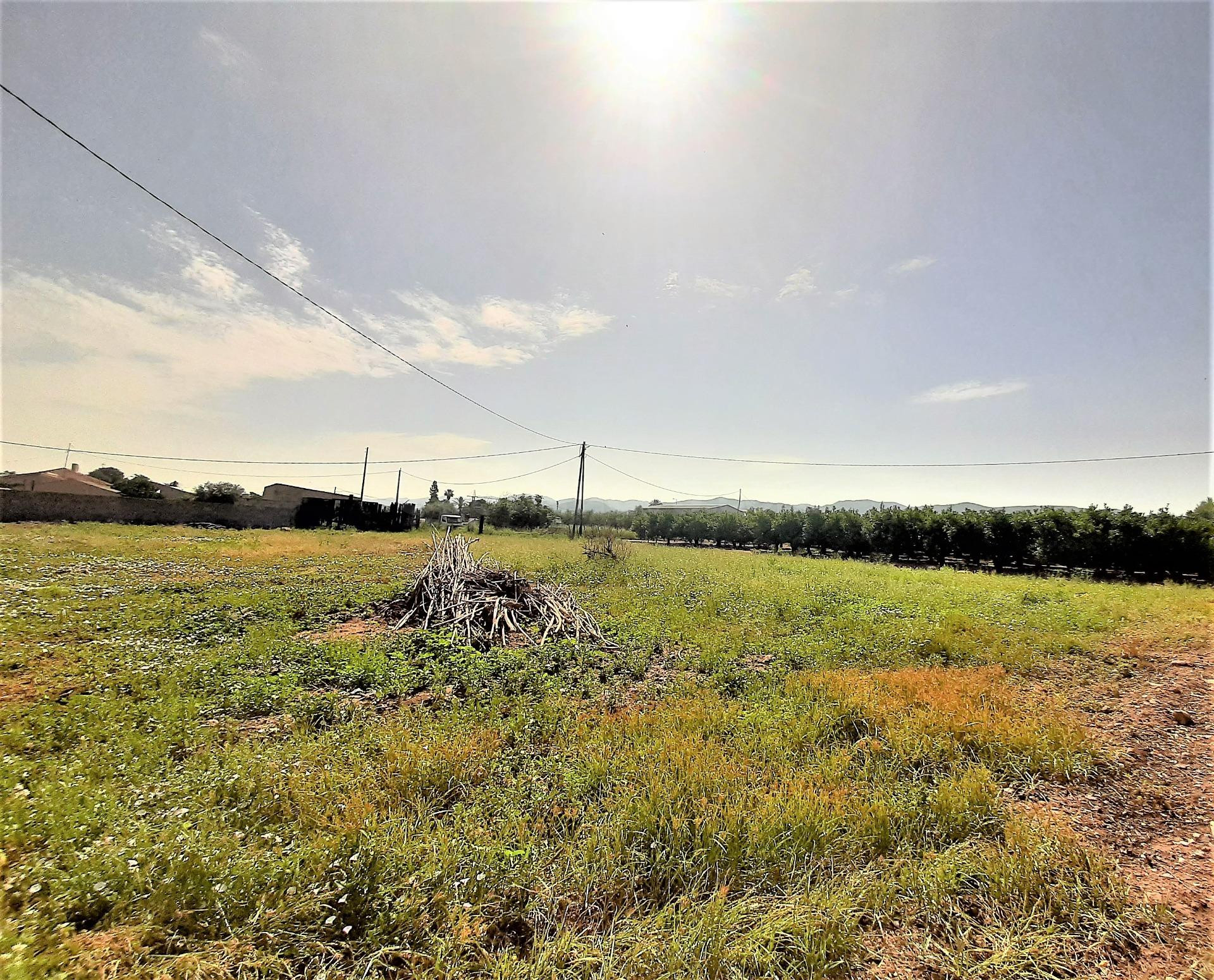 Parcela en Purias para construcción de vivienda unifamiliar - foto 4
