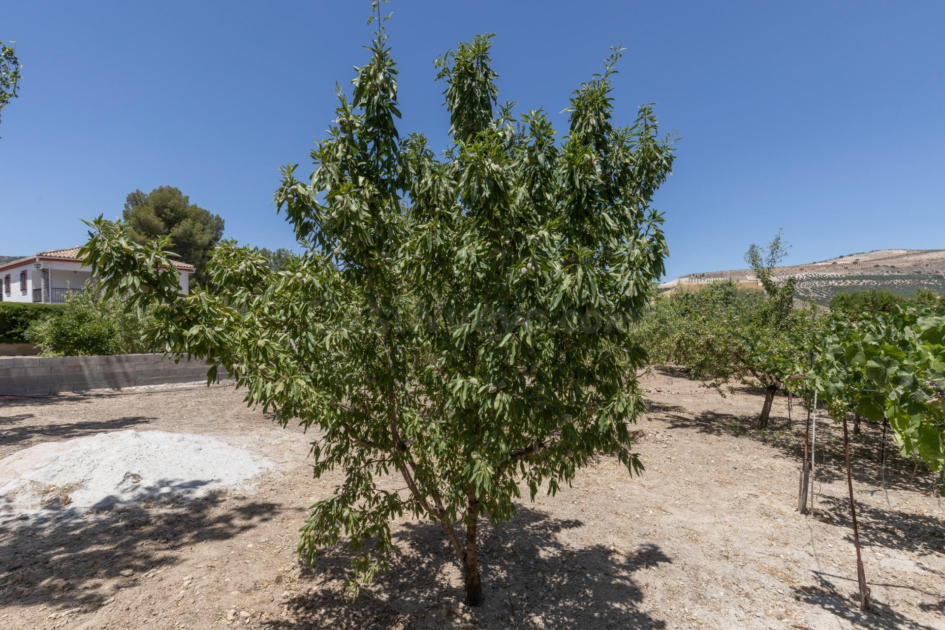 Terreno urbano en venta - Pantano de los bermejales - foto 5