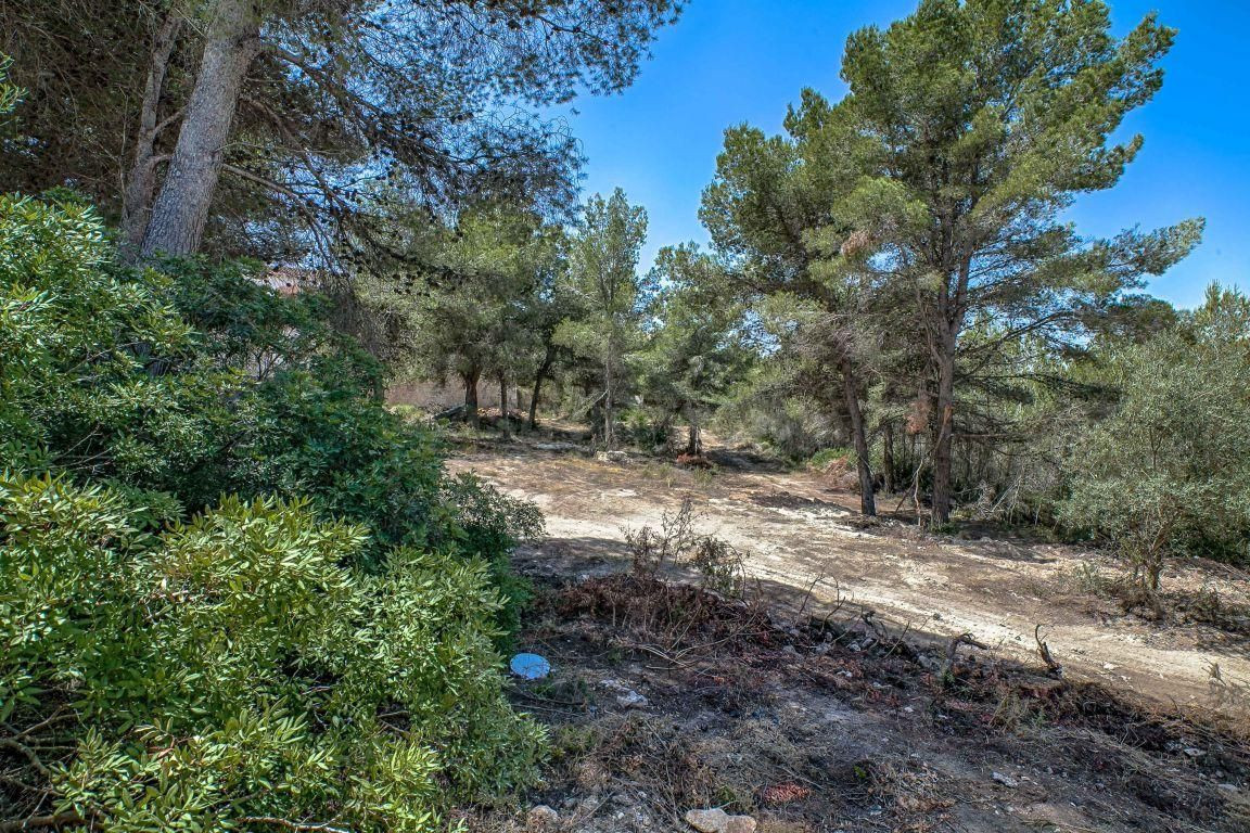 Parcela en venta - Pla del mar - foto 5