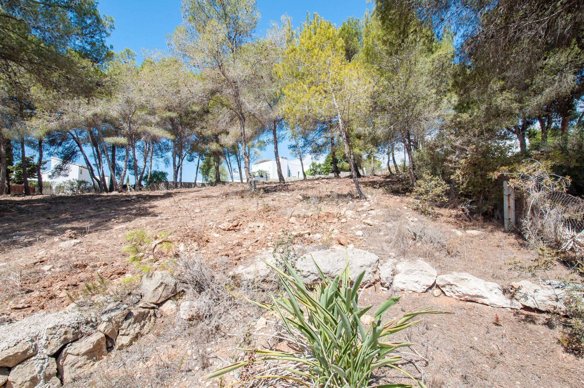 Parcela en venta - Pla del mar - foto 4
