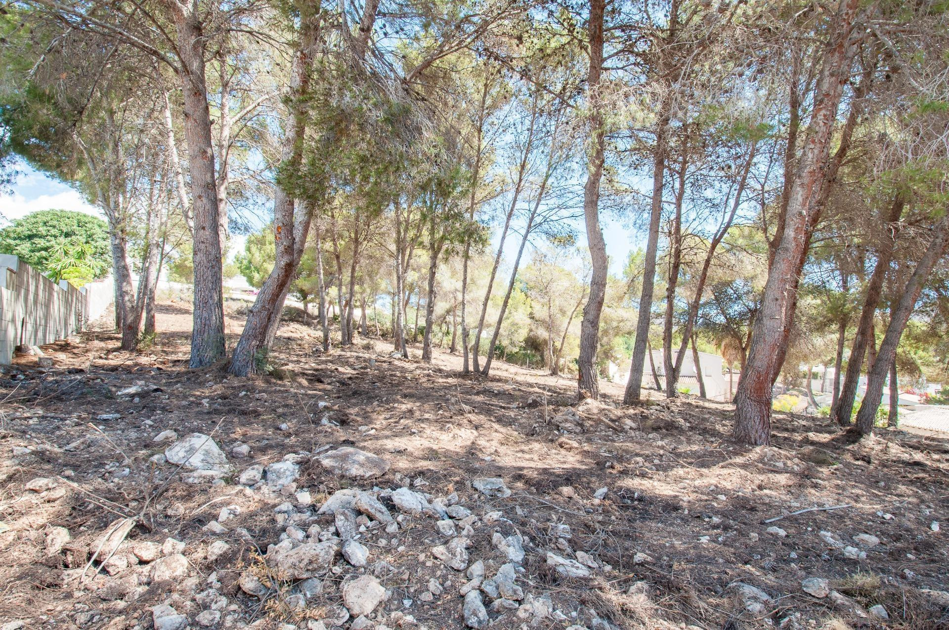 Parcela en venta - Pla del mar - foto 5