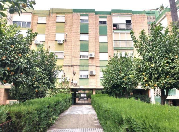 SE VENDE piso OKUPADO en C Sidero Minera 49 de Castilleja de - foto 3