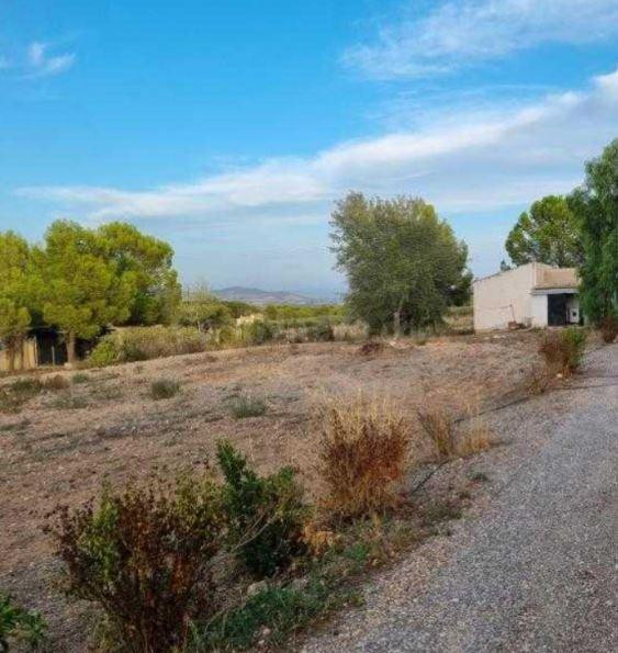 SE VENDE inmueble ALQUILADO en Yecla - foto 2