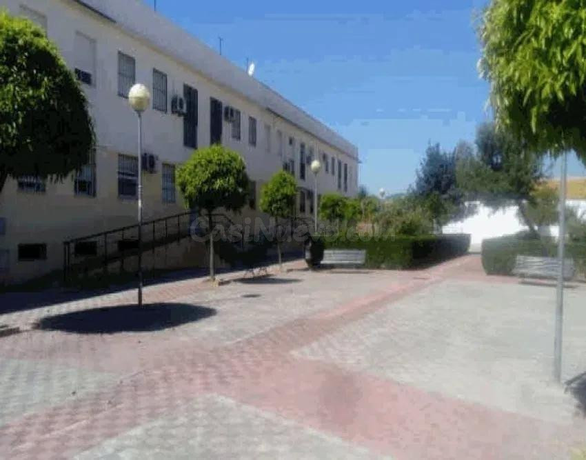 SE VENDE PISO OKUPADO en Plaza Santa Gema Nº 4 Marchena (Sev - foto 3