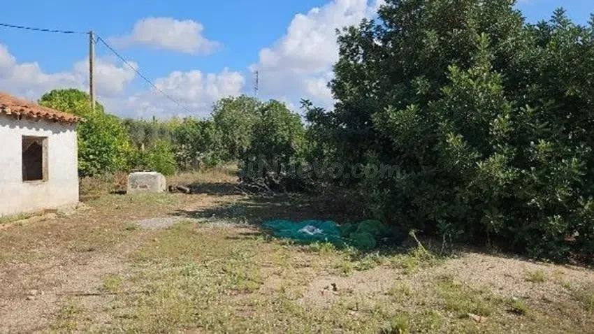 SE VENDE FINCA RÚSTICA OKUPADA EN Polígono 29 Parcela 75 VER - foto 2