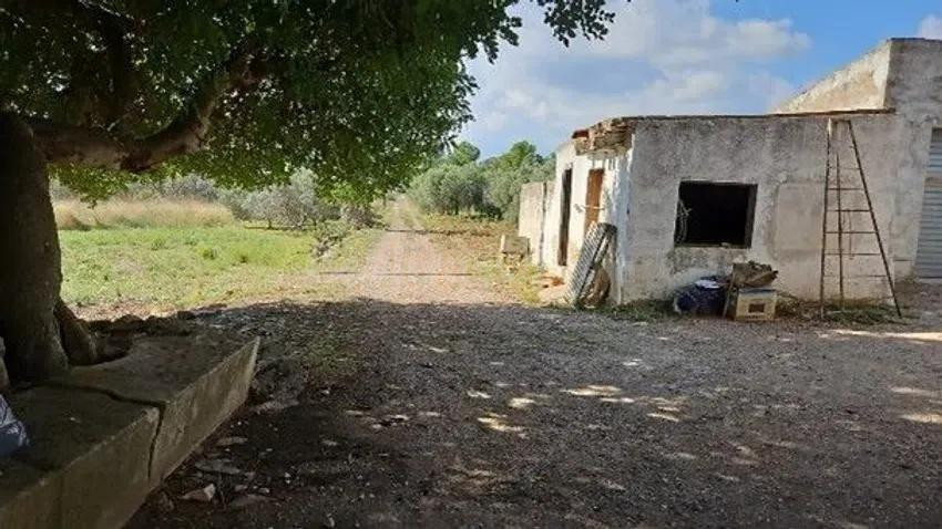 SE VENDE FINCA RÚSTICA OKUPADA EN Polígono 29 Parcela 75 VER - foto 3