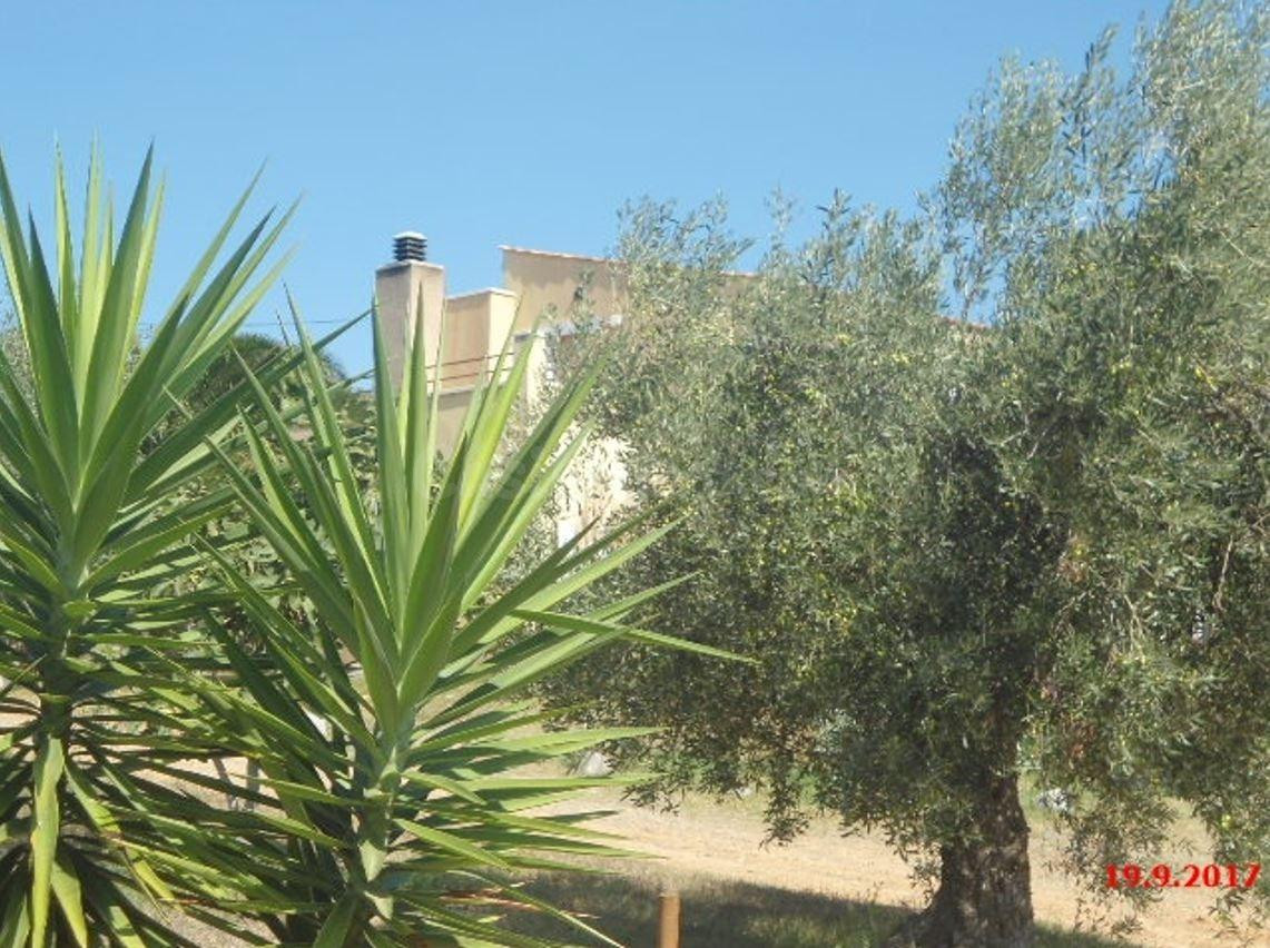 SE VENDE CASA OKUPADA en Partida Segures, Riudecanyes (Tarra
