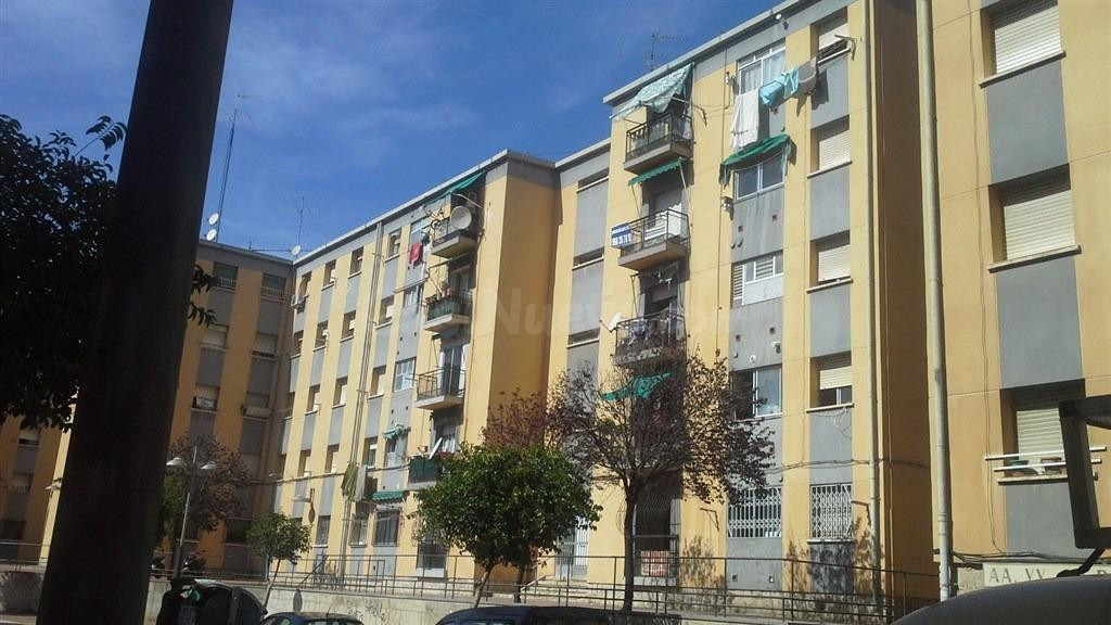 Se vende Piso OKUPADO en Senador Jose Vicente Bevia 26 Alica - foto 4