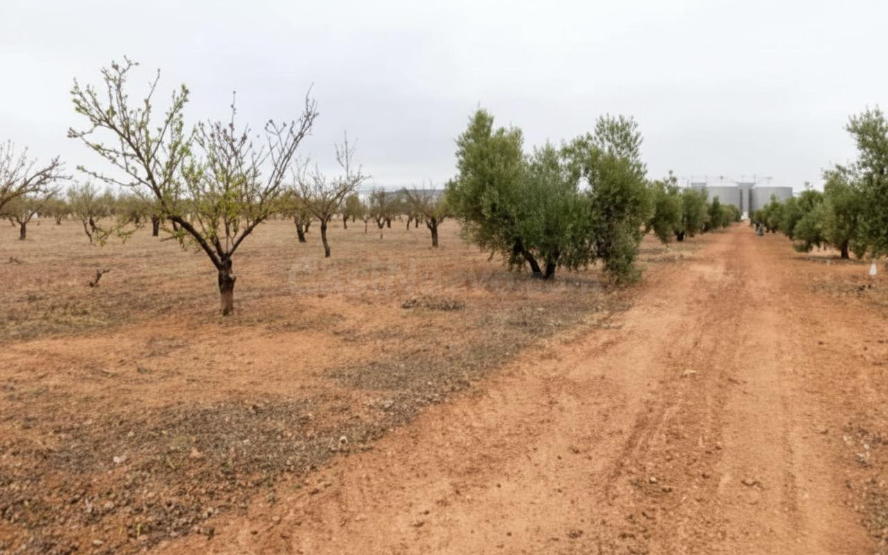Finca Agraria Linda con el CITAI (Escúzar)