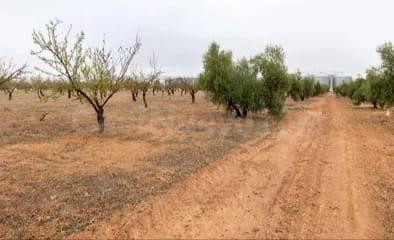 Finca Agraria Linda con el CITAI (Escúzar) - foto 3