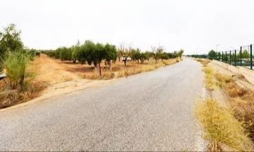 Finca Agraria Linda con el CITAI (Escúzar) - foto 5