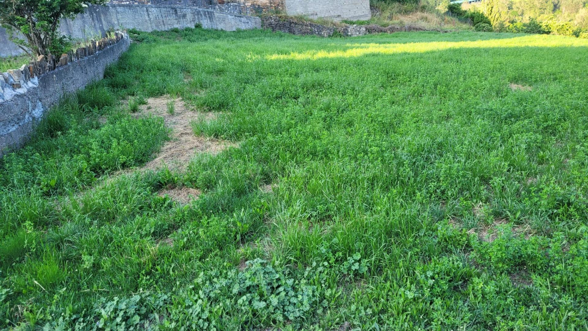 Terreno exclusivo en Siresa, en pleno corazón del Pirineo Ar - foto 3