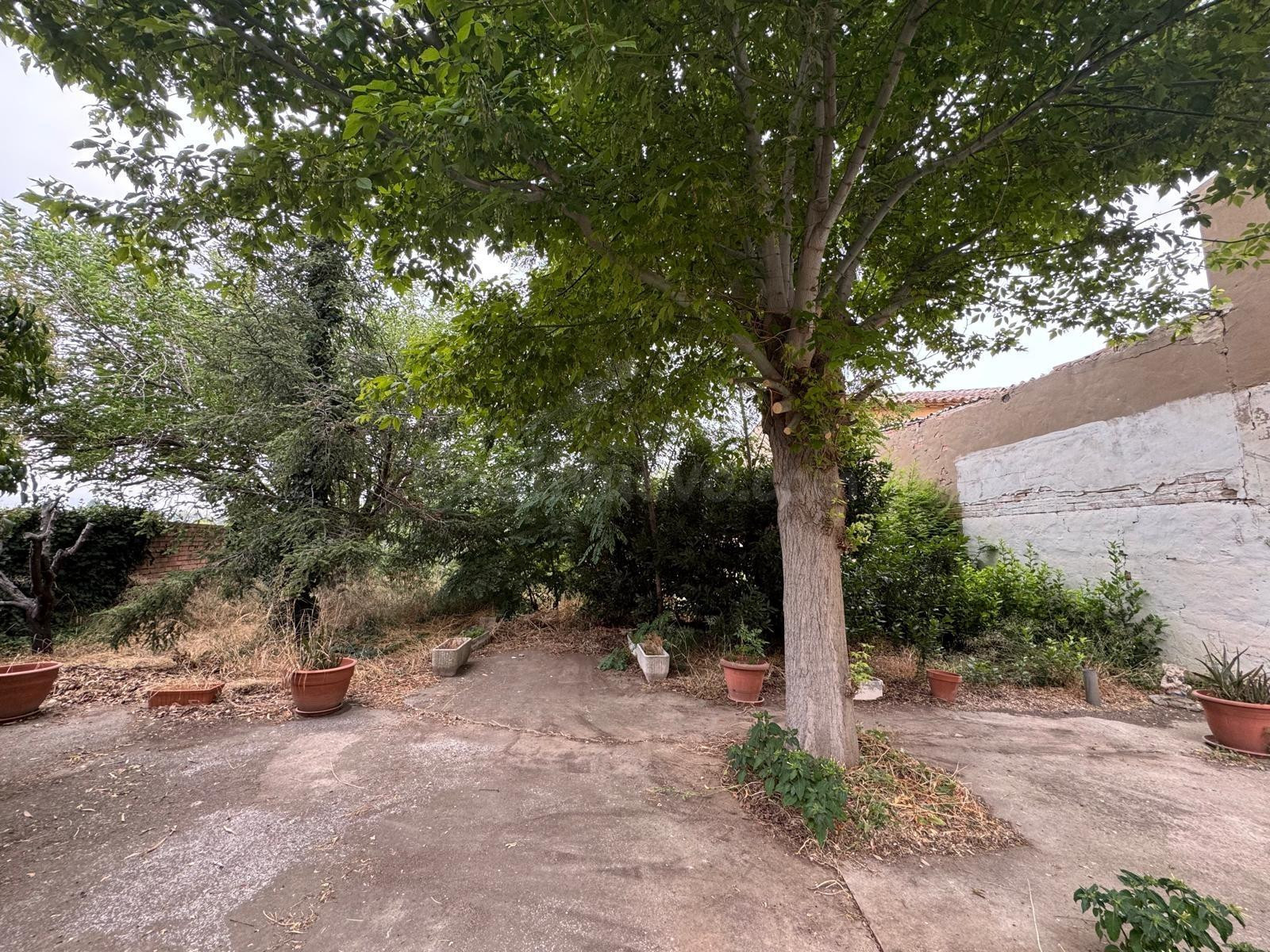 LA CASA MAS BONITA DE MALLEN - foto 2