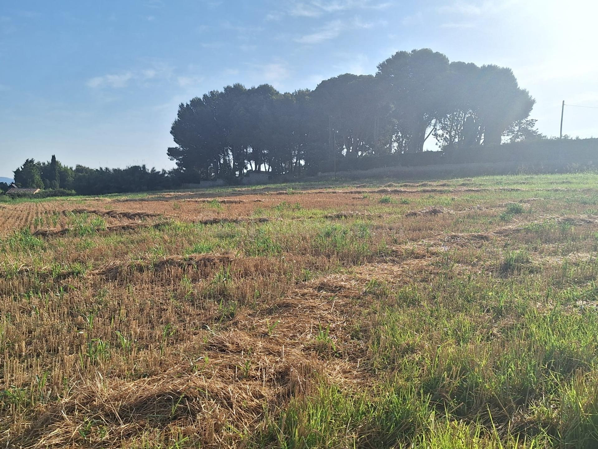 Excelente Finca Rústica de regadío - foto 2
