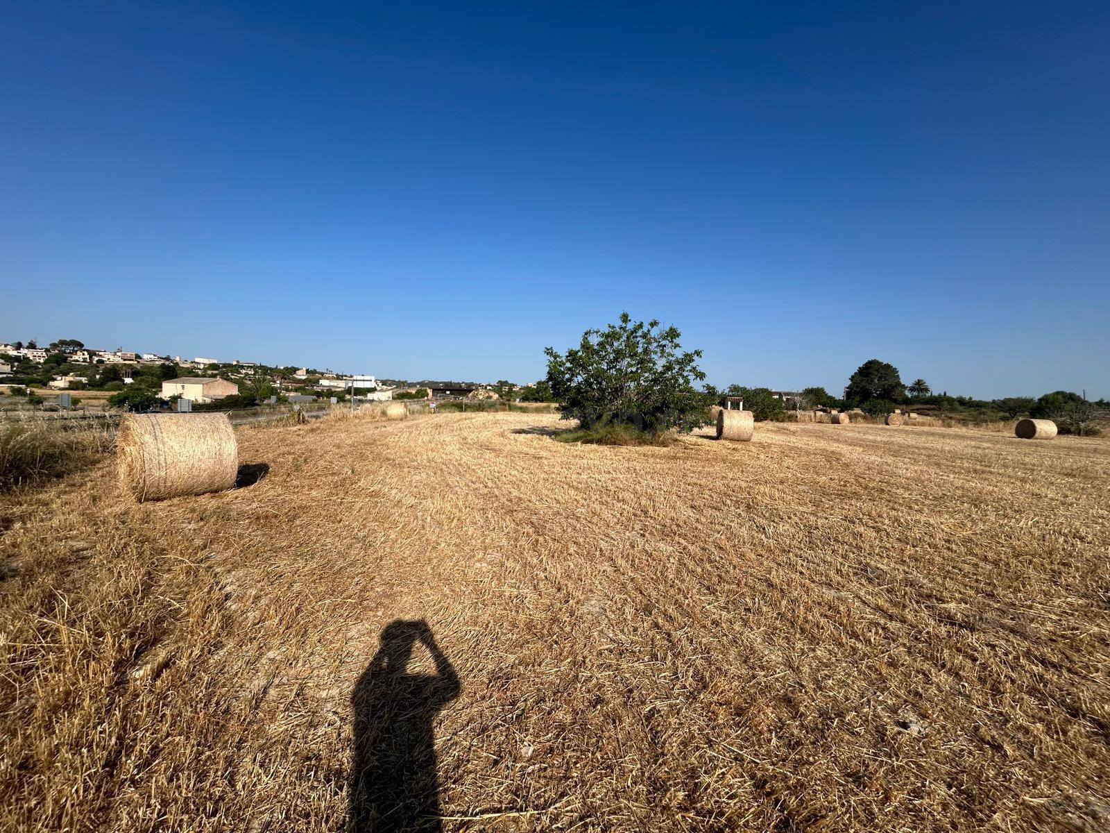 Finca rústica edificable en Montuiri - foto 3