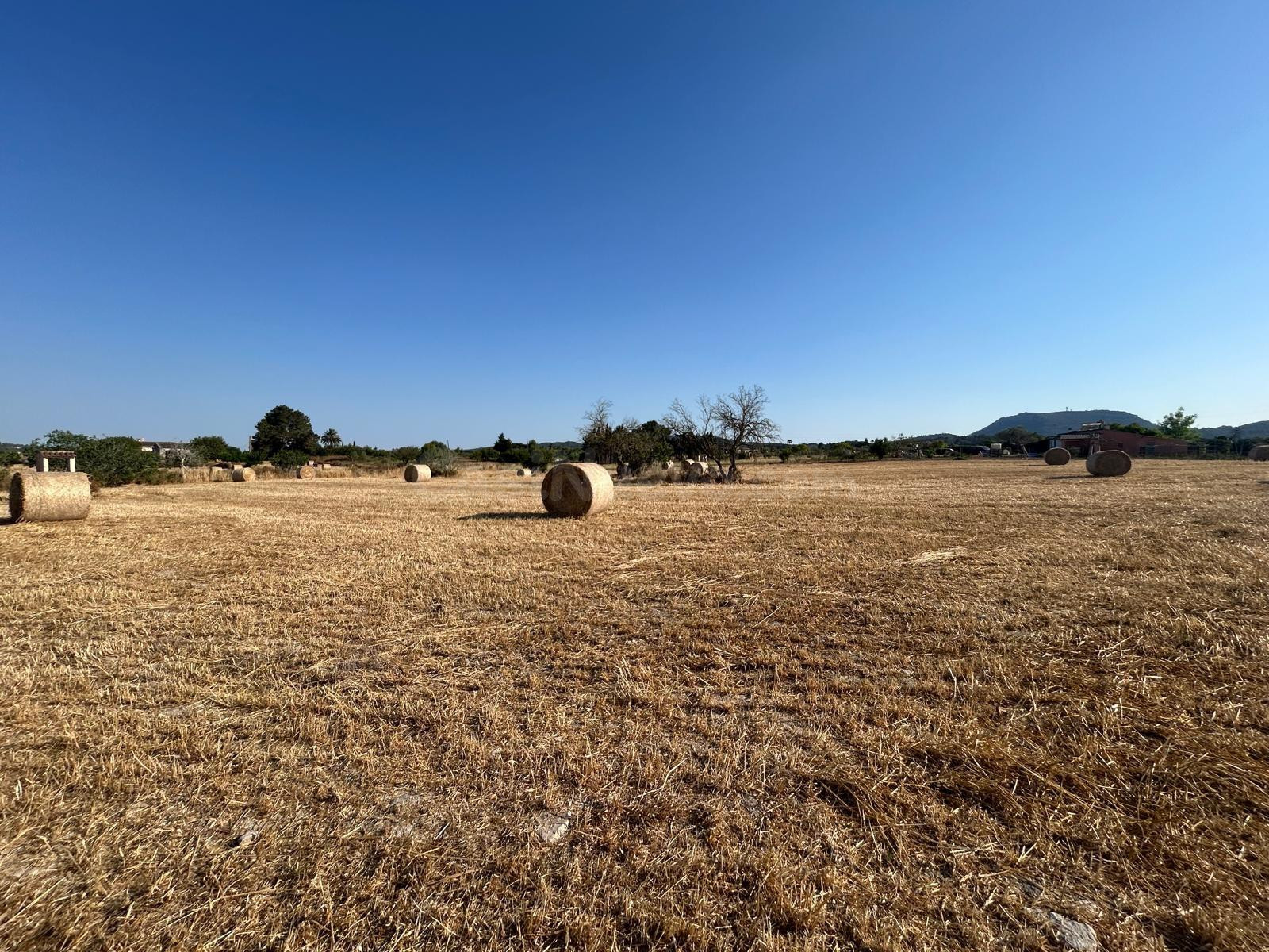 Finca rústica edificable en Montuiri - foto 4