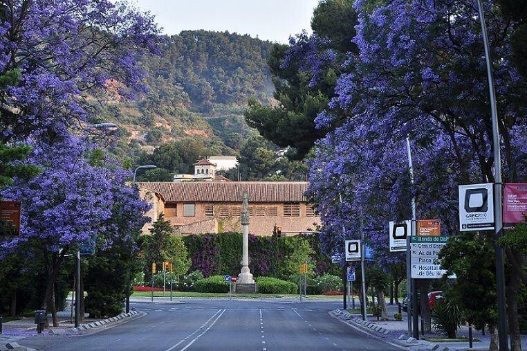 CASA DE LUJO EN PEDRALBES - foto 2