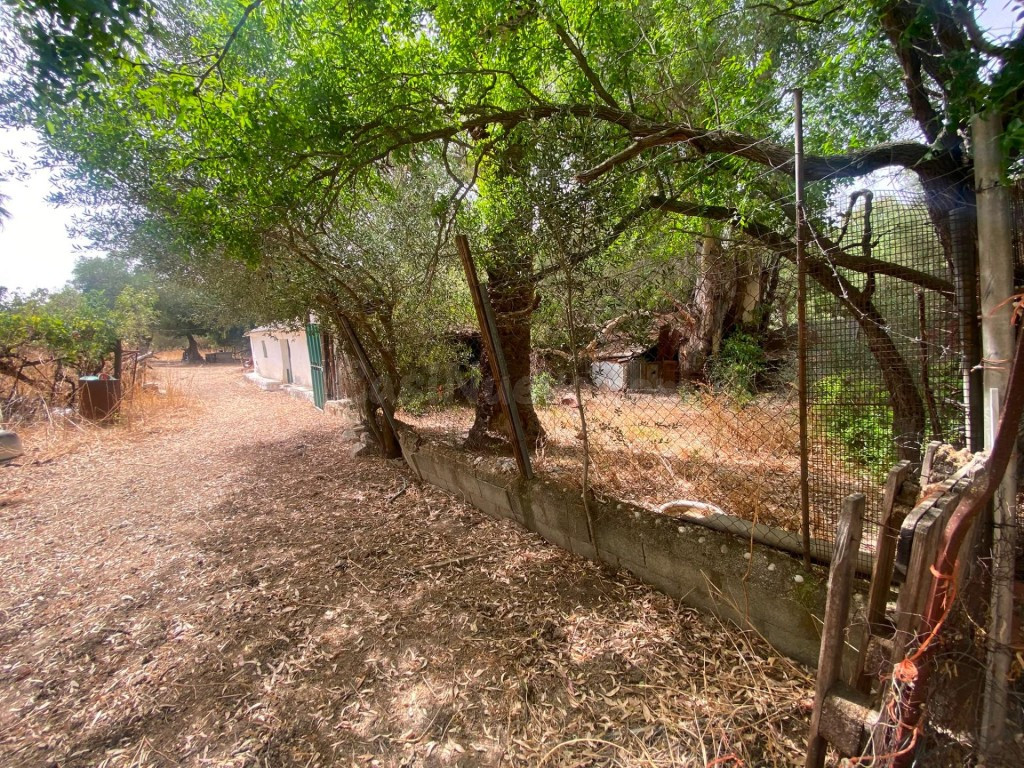 Finca rústica de 4 hectáreas con vivienda y varias construcc - foto 2