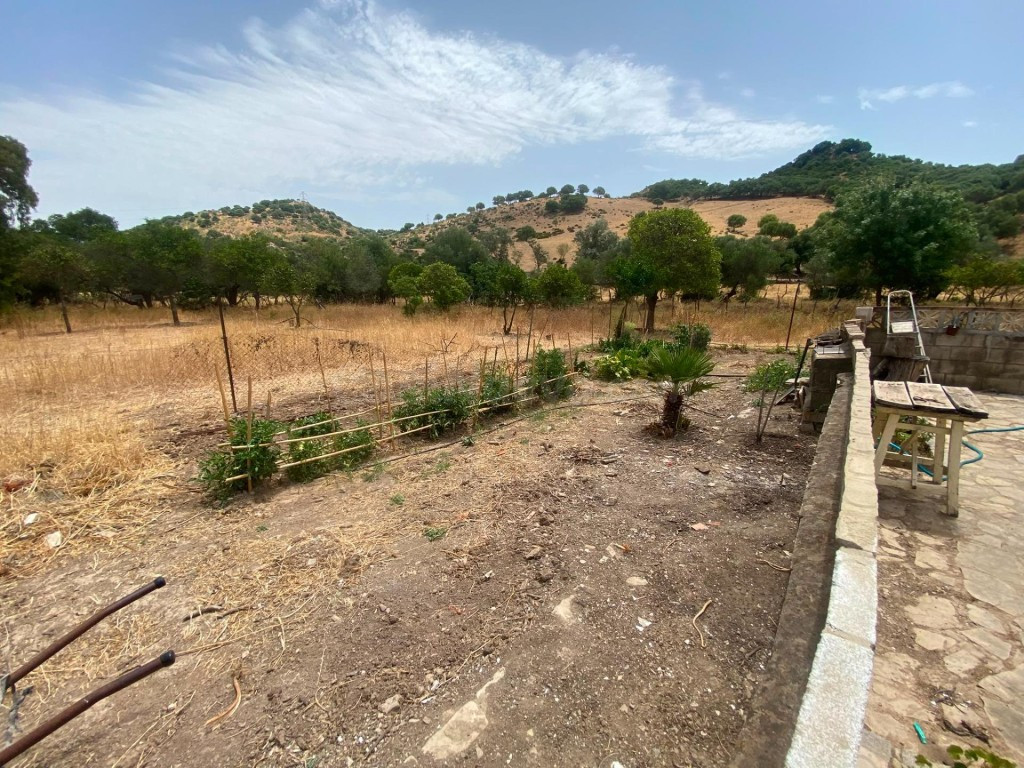 Finca rústica de 4 hectáreas con vivienda y varias construcc - foto 3