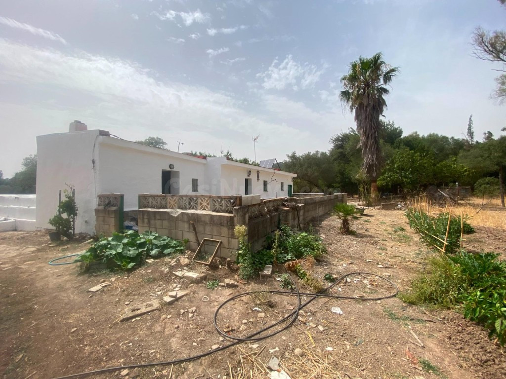 Finca rústica de 4 hectáreas con vivienda y varias construcc - foto 4
