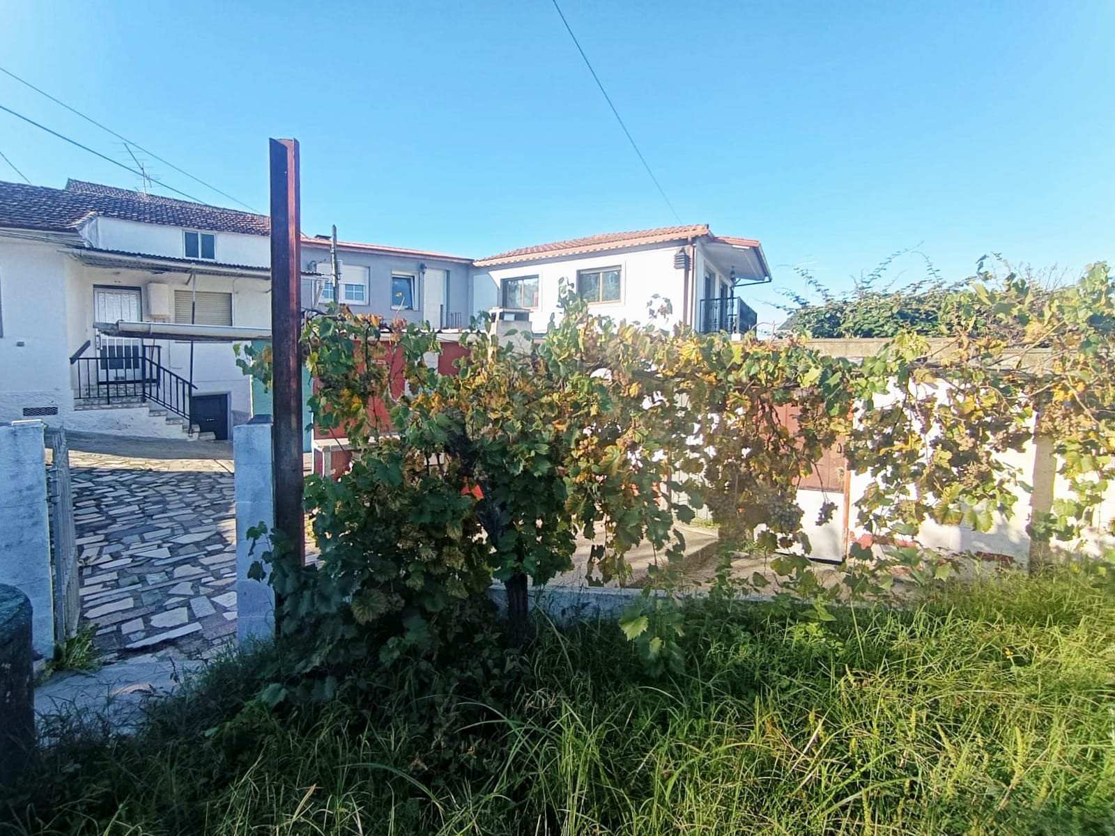 Casa en Lavadores con finca propia - foto 2